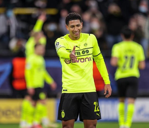 索她为何成 索她为何成